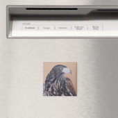 Immature Harris Hawk Magnet (In Situ (Geschirrspüler))