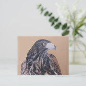 Immature Harris Hawk Postkarte (Stehend Vorderseite)