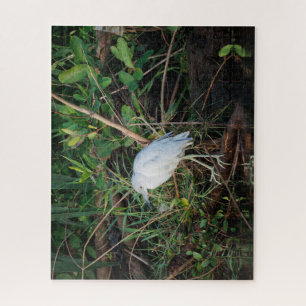 Immature Little Blue Heron Puzzle