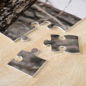 Immature Peregrine Falcon Puzzle (Seite)