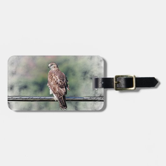 Immature Red Tail Hawk Gepäckanhänger (Vorderseite horizontal)