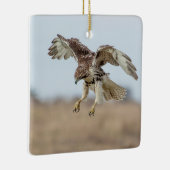 Immature Red Tail Hawk Hovering Keramikornament (Rechts)