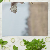 Immature Red Tail Hawk Hovering Küchentuch (Gefaltet)