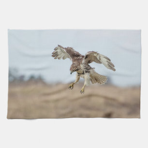 Immature Red Tail Hawk Hovering Küchentuch