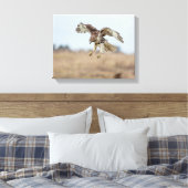 Immature Red Tail Hawk Hovering Leinwanddruck (Insitu (Schlafzimmer))