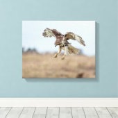 Immature Red Tail Hawk Hovering Leinwanddruck (Insitu (Holzboden))