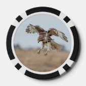 Immature Red Tail Hawk Hovering Pokerchips (Rückseite)
