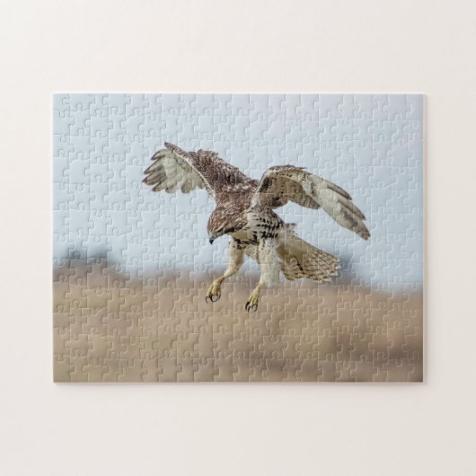 Immature Red Tail Hawk Hovering Puzzle (Horizontal)