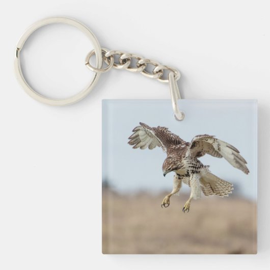 Immature Red Tail Hawk Hovering Schlüsselanhänger (Vorderseite)