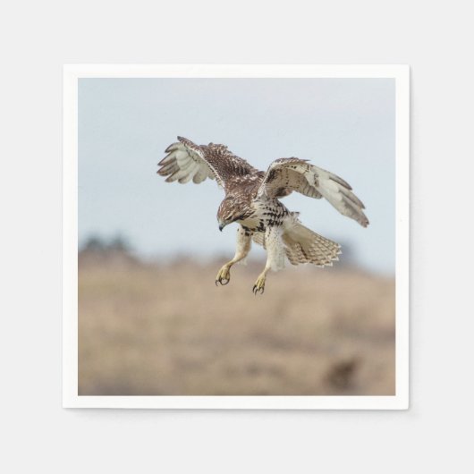 Immature Red Tail Hawk Hovering Serviette (Vorderseite)