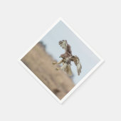 Immature Red Tail Hawk Hovering Serviette (Ecke)