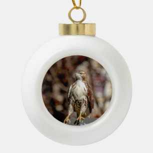 Immature Red Tail Hawk Keramik Kugel-Ornament
