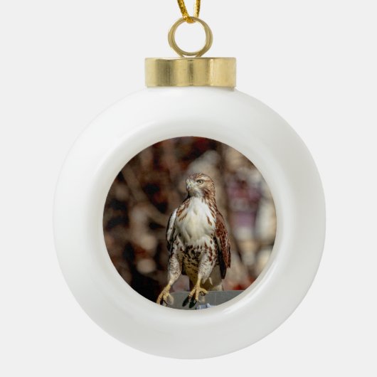 Immature Red Tail Hawk Keramik Kugel-Ornament (Vorderseite)