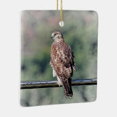 Immature Red Tail Hawk Keramikornament (Rechts)