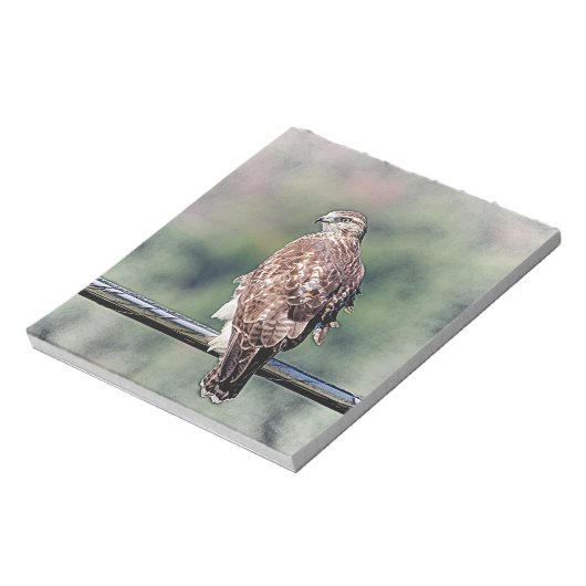 Immature Red Tail Hawk Notizblock (Rotiert)