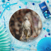 Immature Red Tail Hawk Pappteller (Party)