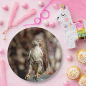 Immature Red Tail Hawk Pappteller (Party)