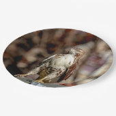 Immature Red Tail Hawk Pappteller (Schrägansicht)