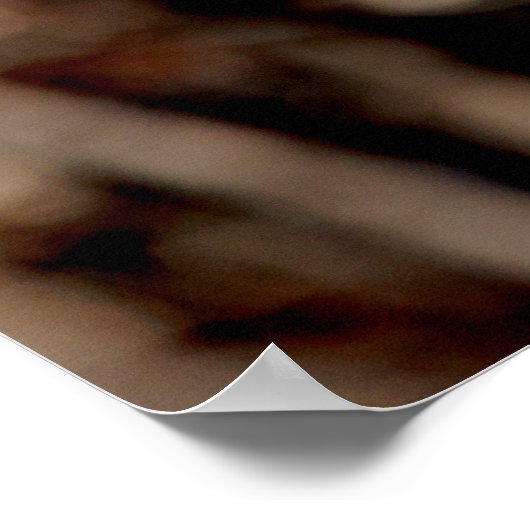 Immature Red Tail Hawk Poster (Ecke)