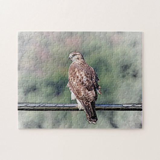 Immature Red Tail Hawk Puzzle (Horizontal)