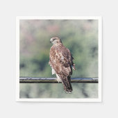 Immature Red Tail Hawk Serviette (Vorderseite)