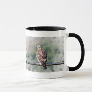 Immature Red Tail Hawk Tasse