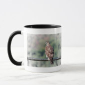 Immature Red Tail Hawk Tasse (Links)