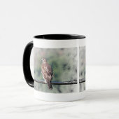 Immature Red Tail Hawk Tasse (Vorderseite Links)