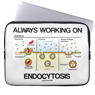 Immer, arbeitend an Endocytosis (zelluläres Essen Laptopschutzhülle