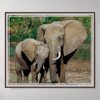 immer auf Ihrer Seite Poster