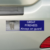 Immer auf Schutz Autoaufkleber (Auf Auto)