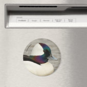 Immer beeindruckend gekleidet: Ein kurioses Buffle Magnet (In Situ (Geschirrspüler))