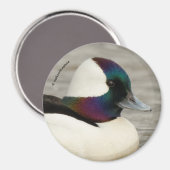 Immer beeindruckend gekleidet: Ein kurioses Buffle Magnet (Vorderseite/Rückseite)