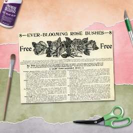 Immer blühende Rose Bush Magazine und Vintages Han Seidenpapier