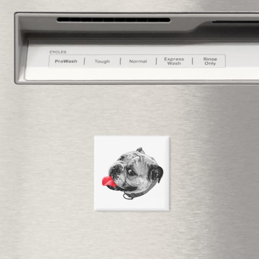 Immer da, leicht markiert magnet (In Situ (Geschirrspüler))