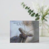 Immer das Gefühl, dass Ihr Zeug ... Postkarte (Stehend Vorderseite)