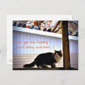 Immer die Gefühl-Tauben sehen Katze Postkarte (Vorne/Hinten)