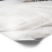 Immer Egrets Fotodruck (Ecke)