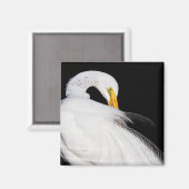 Immer Egrets Magnet (Vorderseite/Rückseite)