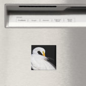 Immer Egrets Magnet (In Situ (Geschirrspüler))