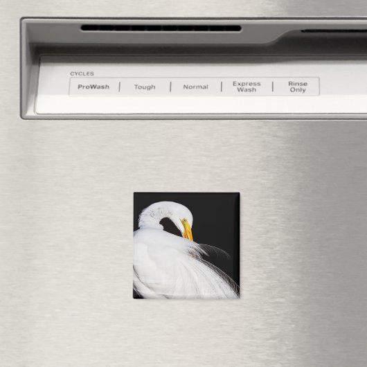 Immer Egrets Magnet (In Situ (Geschirrspüler))