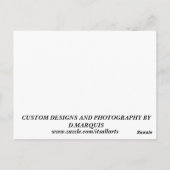 IMMER ELEGANT #6 POSTKARTE (Rückseite)