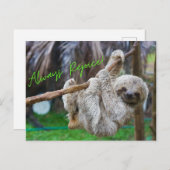 Immer Freude am Hängen der Schlampe auf der Postka Postkarte (Vorne/Hinten)