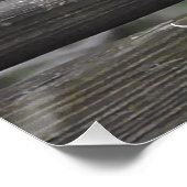 Immer Frieden wählen | Dove-Foto Poster (Ecke)