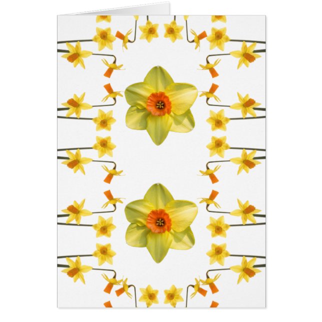 Immer Frühling (Vorne)