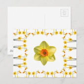 Immer Frühling Postkarte (Vorne/Hinten)