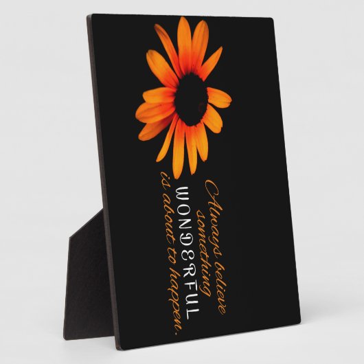 immer glauben fotoplatte (Seite)