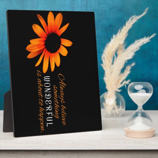 immer glauben fotoplatte (Seite)