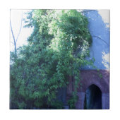 Immer grüner fliese (Vorderseite)