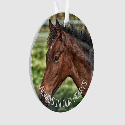 Immer im Herzen, an das Pferd erinnern Ornament (Vorderseite)